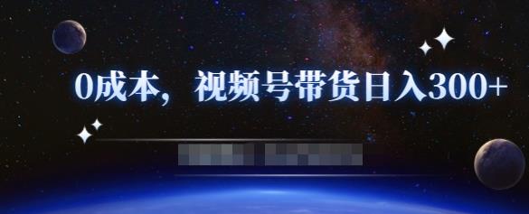 零基础视频号带货赚钱项目，0成本0门槛轻松日入300+【视频教程】-萝卜兔资源站