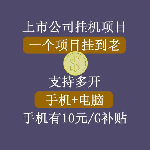 正规挂机项目,支持手机电脑一起挂,支持虚拟机多开,可以挂到老-萝卜兔资源站