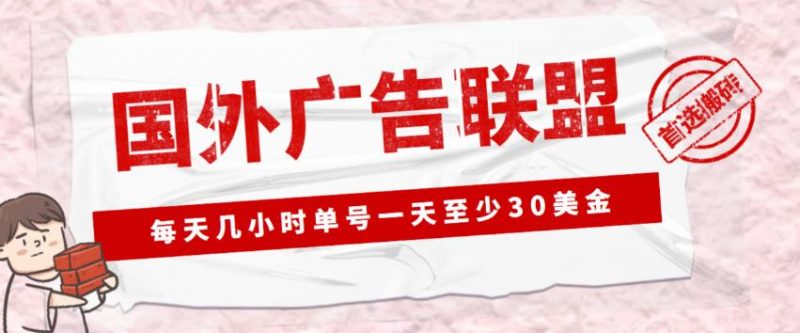 外面收费1980的最新国外LEAD广告联盟搬砖项目，单号一天至少30美金【详细玩法教程】-萝卜兔资源站