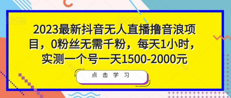 2023最新抖音无人直播撸音浪项目,0粉丝无需千粉,每天1小时,实测一个号一天1500-2000元-萝卜兔资源站