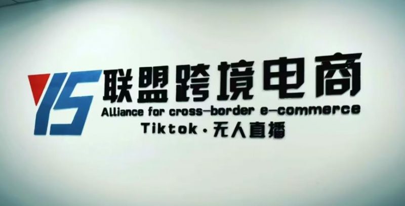 YS联盟·TIKTOK无人直播，不出镜不剪辑不拍摄不发货无售后的跨境短视频躺赚玩法-萝卜兔资源站