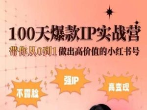 小红书100天爆款IP实战营，带你从0到1做出高价值的小红书号-萝卜兔资源站