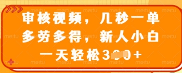 审核视频，几秒一单，多劳多得，新人小白一天轻松3张【揭秘】-萝卜兔资源站
