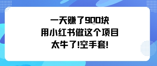 一天挣了9张用小红书做这个项目太牛了，空手套-萝卜兔资源站