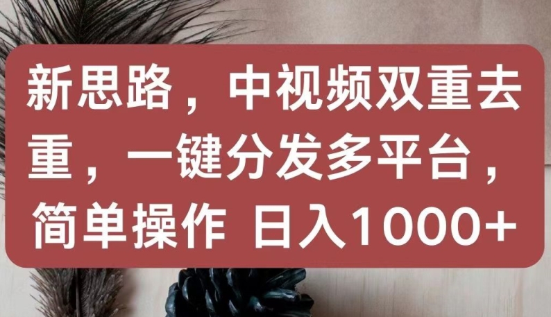 新思路，中视频双重去重，一键分发多平台，简单操作，日入1000+【揭秘】-萝卜兔资源站