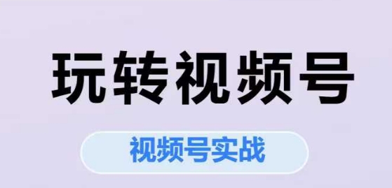 玩转视频号，视频号实战系列课-萝卜兔资源站