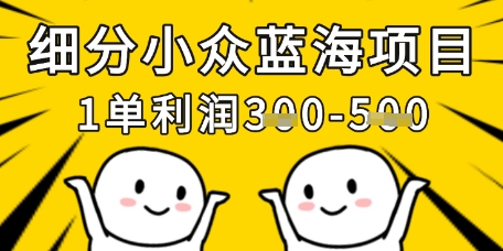 细分小众蓝海项目，一单利润3张，每月收入稳定过1w+-萝卜兔资源站
