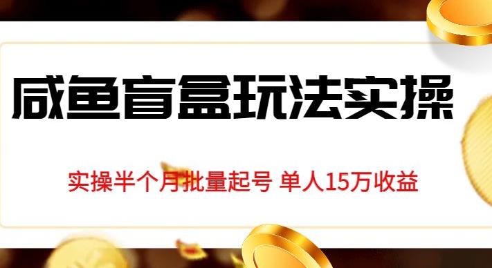 独家首发咸鱼盲盒玩法实操，半个月批量起号单人15万收益【揭秘】-萝卜兔资源站