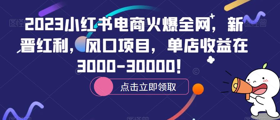 2023小红书电商火爆全网，新晋红利，风口项目，单店收益在3000-30000！-萝卜兔资源站