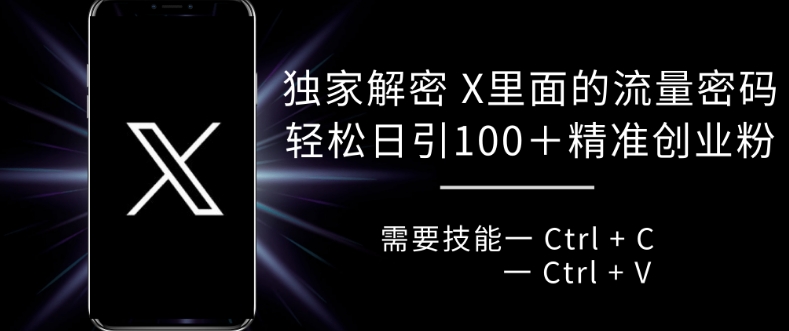 独家解密 X 里面的流量密码，复制粘贴轻松日引100+-萝卜兔资源站