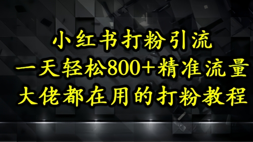 小红书打粉引流，一天轻松500+精准流量，大佬都在用的打粉教程-萝卜兔资源站