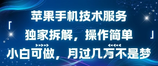 苹果手机技术服务，独家拆解，操作简单，小白可做，月过1W不是梦-萝卜兔资源站