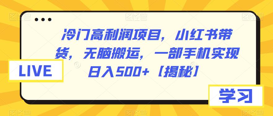 冷门高利润项目，小红书带货，无脑搬运，一部手机实现日入500+【揭秘】-萝卜兔资源站