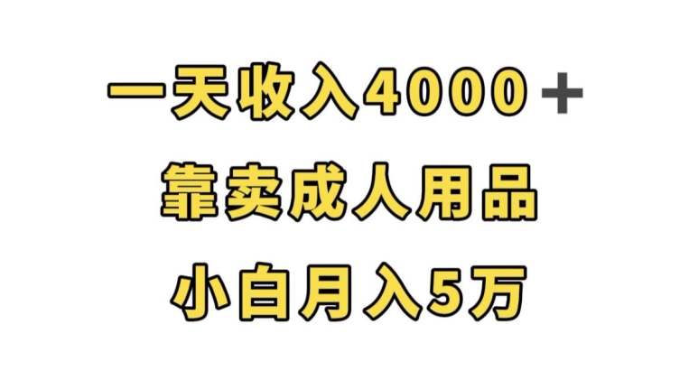 一天收入4000+，靠卖成人用品，小白轻松月入5万【揭秘】-萝卜兔资源站
