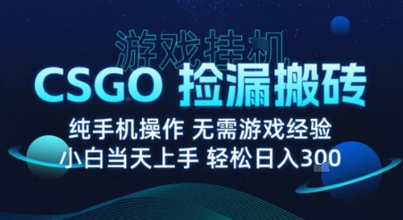 8月最新游戏搬砖，CSGO纯挂G，不需要玩游戏，实现真挂G，月入1W+【揭秘】-萝卜兔资源站