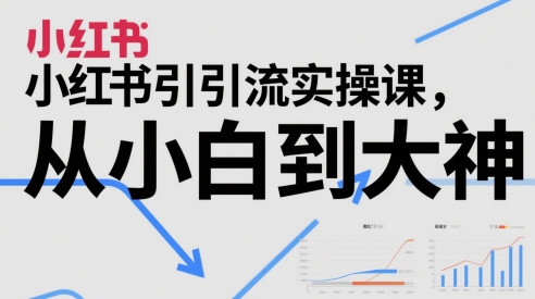 小红书引流实操课，从小白到大神-萝卜兔资源站