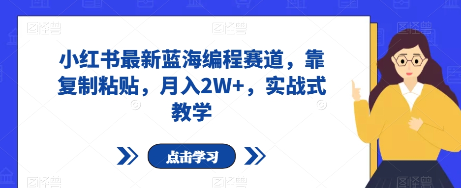 小红书最新蓝海编程赛道，靠复制粘贴，月入2W+，实战式教学【揭秘】-萝卜兔资源站