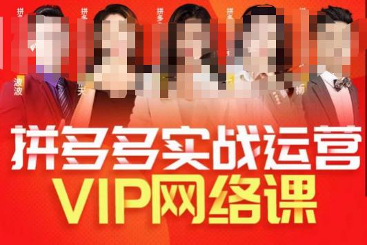 推易拼多多VIP全套直播课程，拼多多店铺实操玩法+实战玩法选款内功+直通车高阶等-萝卜兔资源站