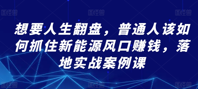 想要人生翻盘，普通人该如何抓住新能源风口赚钱，落地实战案例课-萝卜兔资源站