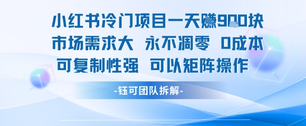 小红书冷门项目一天收益9张，市场需求大，0成本，可复制性强可以矩阵操作-萝卜兔资源站