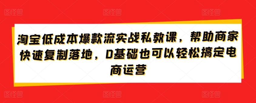 淘宝低成本爆款流实战私教课，帮助商家快速复制落地，0基础也可以轻松搞定电商运营-萝卜兔资源站