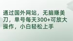 通过国外网站，无脑赚美刀，单号每天300+可放大操作，小白轻松上手【揭秘】-萝卜兔资源站