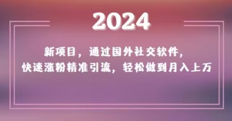 2024新项目，通过国外社交软件，快速涨粉精准引流，轻松做到月入上万【揭秘】-萝卜兔资源站