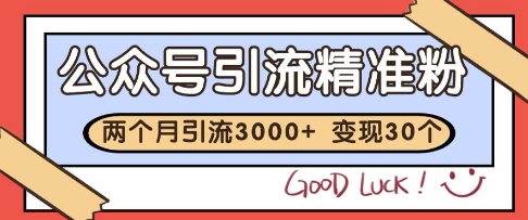 公众号精准粉引流玩法，2个月3000+精准粉，变现30个W【揭秘】-萝卜兔资源站