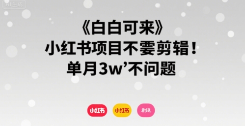 小白可来 小红书项目不需要剪辑 单月3w不是问题-萝卜兔资源站