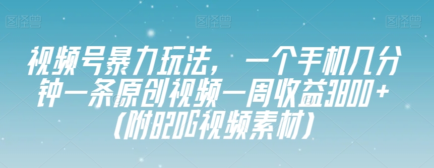 视频号暴力玩法，一个手机几分钟一条原创视频一周收益3800+（附820G视频素材）-萝卜兔资源站