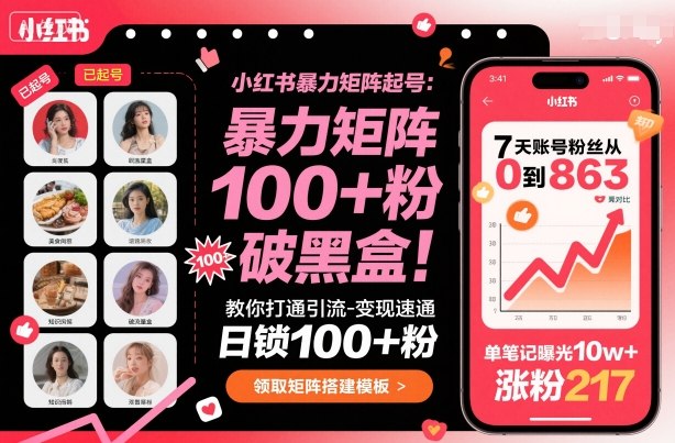 小红书暴力矩阵起号，教你打通引流-变现速通，日锁100+粉，破流量黑盒-萝卜兔资源站