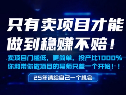 只有卖项目才能做到稳挣不赔，门槛低，更简单，你也可以年入百个W【揭秘】-萝卜兔资源站