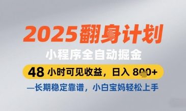 2025小程序全自动掘金，48 小时可见收益，日入8张，长期稳定靠谱，小白宝妈轻松上手【揭秘】-萝卜兔资源站