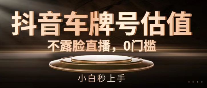 抖音车牌号估值，不露脸直播，0门槛，小白秒上手【揭秘】-萝卜兔资源站