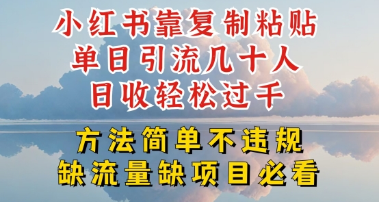 小红书靠复制粘贴单日引流几十人目收轻松过千，方法简单不违规【揭秘】-萝卜兔资源站