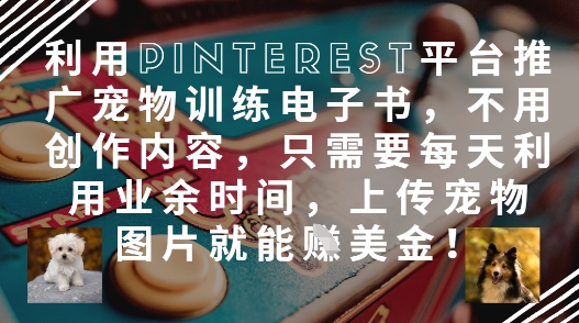 利用Pinterest平台推广宠物训练电子书，不用创作内容，只需要每天利用业余时间，上传宠物图片就能挣美金!-萝卜兔资源站