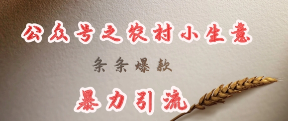 deepseek写农村小项目，条条爆款，暴力引流-萝卜兔资源站