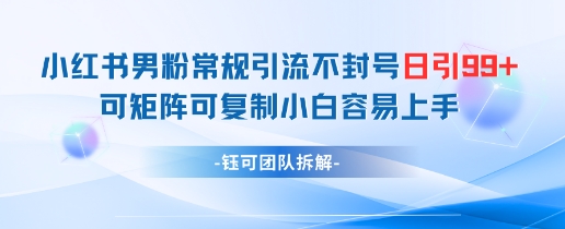 小红书男粉常规引流不封号日引99+变现简单 可矩阵可复制小白容易上手-萝卜兔资源站