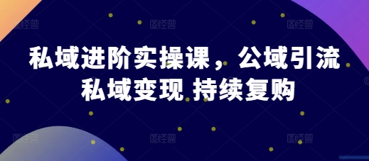 私域进阶实操课，公域引流 私域变现 持续复购-萝卜兔资源站