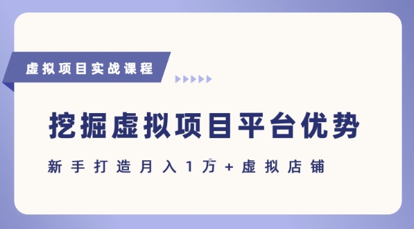 抓住虚拟项目各平台优势，新手轻松月入1W+(给出具体建议)-萝卜兔资源站