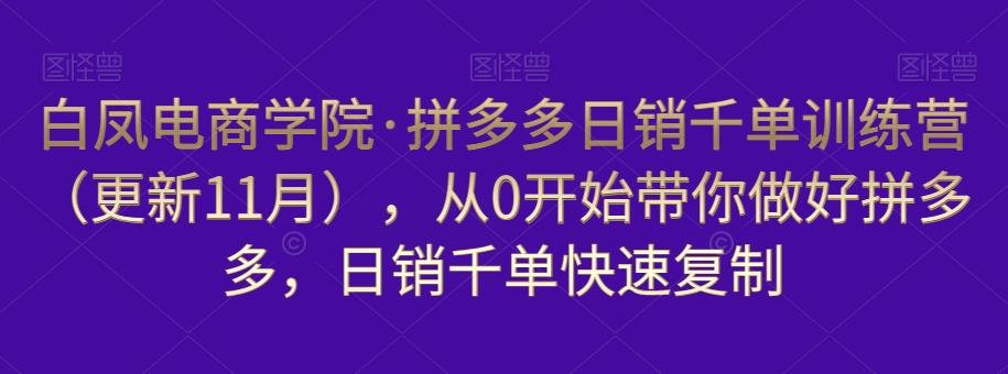 白凤电商学院·拼多多日销千单训练营，从0开始带你做好拼多多，日销千单快速复制（更新知2023年3月）【揭秘】-萝卜兔资源站