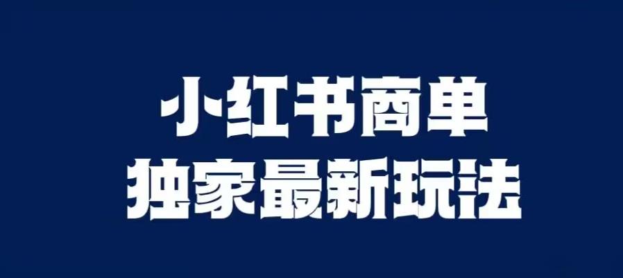 小红书商单最新独家玩法，剪辑时间短，剪辑难度低，能批量做号【揭秘】-萝卜兔资源站