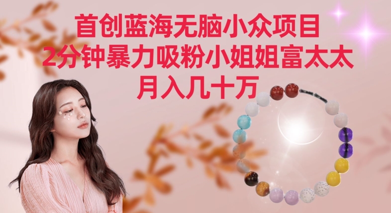 首创蓝海无脑小众项目，2分钟暴力吸粉小姐姐富太太，月入几十万【揭秘】-萝卜兔资源站