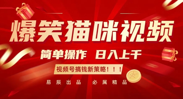 爆笑猫咪视频：简单操作，日入过K，视频号搞钱新策略【揭秘】-萝卜兔资源站