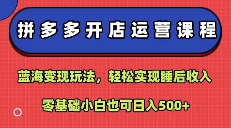 拼多多开店运营课程：蓝海变现玩法，轻松实现睡后收入，零基础小白也可日入5张-萝卜兔资源站