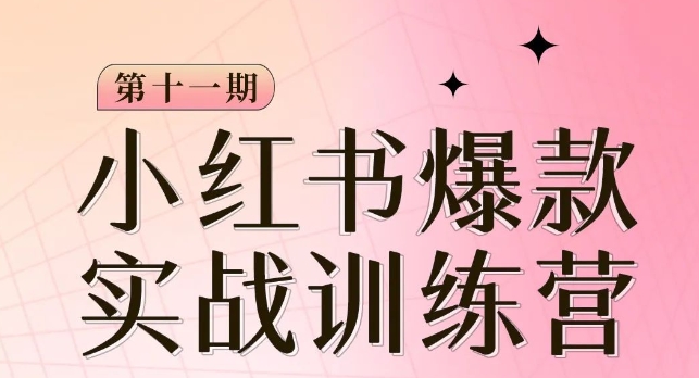 小红书博主爆款训练营第11期，手把手教你从0-1做小红书，从定位到起号到变现-萝卜兔资源站