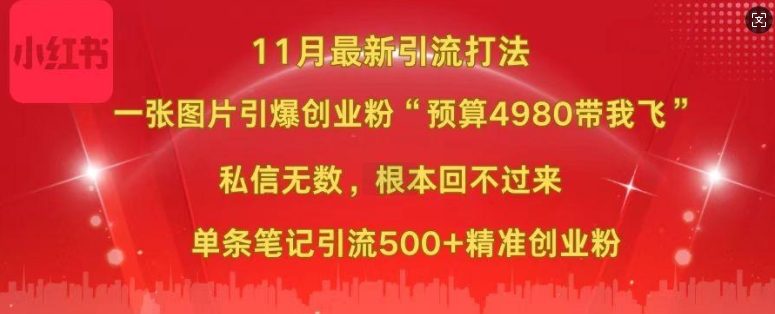 小红书11月最新图片打粉，一张图片引爆创业粉，“预算4980带我飞”，单条引流500+精准创业粉-萝卜兔资源站