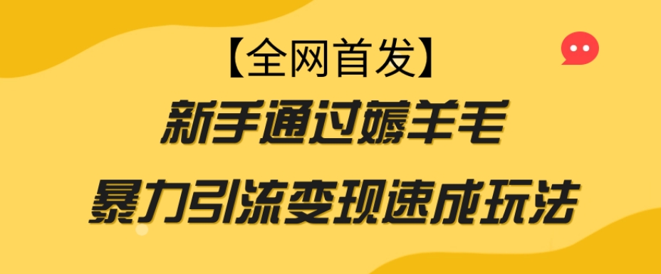 【全网首发】新手通过薅羊毛暴力引流变现速成玩法-萝卜兔资源站
