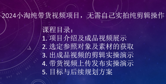 2024小淘纯带货视频项目，无需自己实拍纯剪辑操作-萝卜兔资源站
