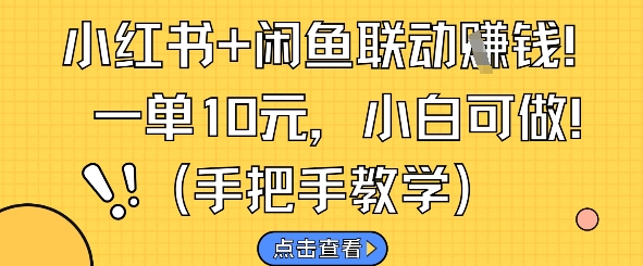 小红书+闲鱼联动挣钱，一单10元，小白可做-萝卜兔资源站